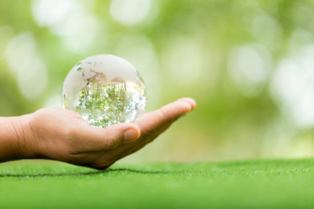 istock Crystal ball used as a telling object. Nature park with trees in the background. hand for environmental, social, and governance in sustainable and ethical business on green background. 1440960590