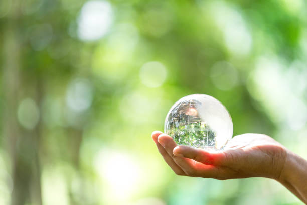 istock Crystal ball used as a telling object. Nature park with trees in the background. hand for environmental, social, and governance in sustainable and ethical business on green background. 1440960608