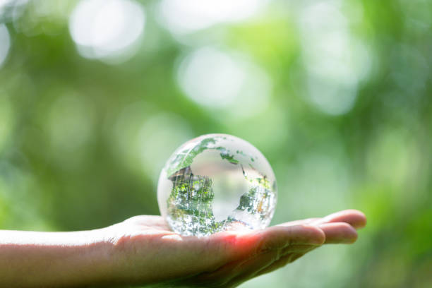 istock Crystal ball used as a telling object. Nature park with trees in the background. hand for environmental, social, and governance in sustainable and ethical business on green background. 1440960634