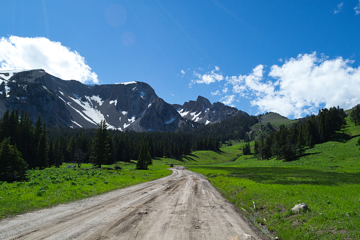 A dirt road leading to the bridger mountains near Bozeman, Montana. Photo was taken in the early summer with vibrant green vegetation