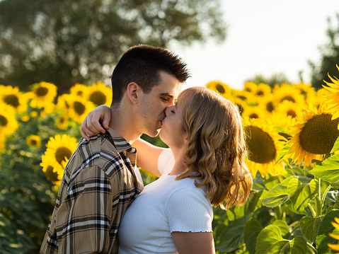 A portrait of a young cute couple kissing in a sunflower field