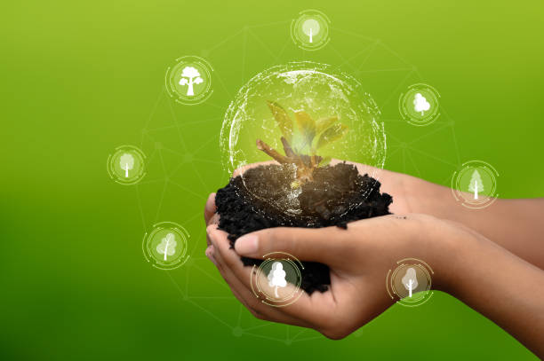 istock ECO icon concept in hand-held bulb for environmental, 1440964949