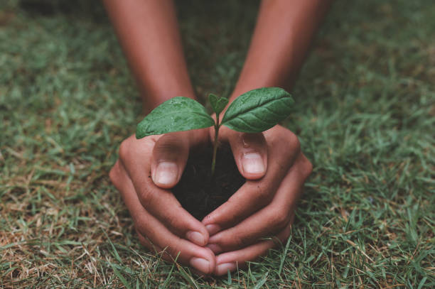 istock Ecology natural environment protection earth 1440964964