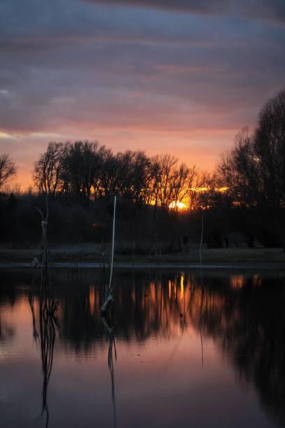 istock Beautiful shot of a sunset with light and trees reflection on water 1440965082