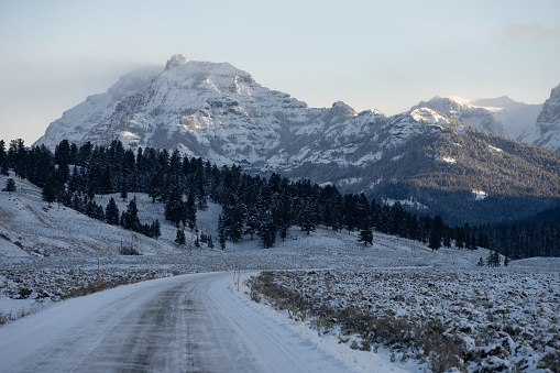 A frozen road takes a bend in the fall in Yellowstone National Park