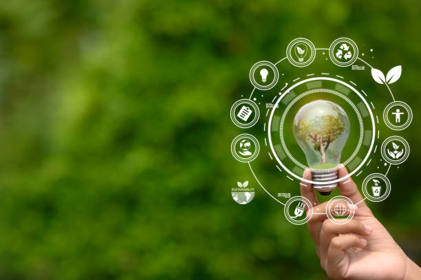 istock ECO icon concept in hand-held bulb for environmental, 1440965325