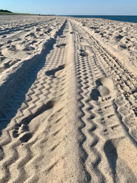 istock Vertical shot of tire prints and footsteps on a sandy road 1440965909