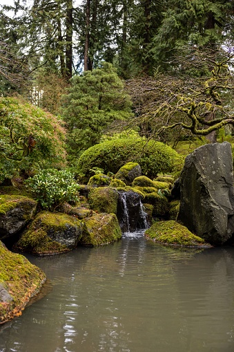 A vertical shot of a beautiful Japanese-style lush garden with moss-covered stones and a pond