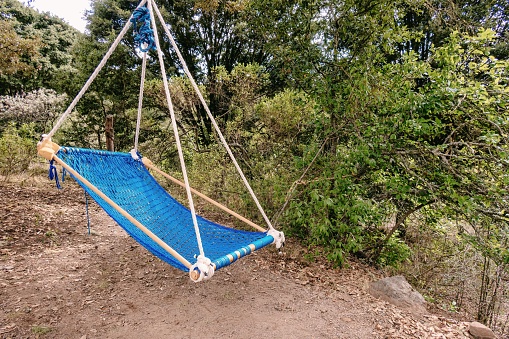 A blue hammock swing surrounded by lush trees in a forest