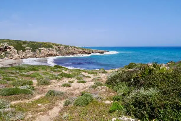 Photo of View of Calamosche beach with white sand and turquoise clear water in Riserva Naturale Oasi Faunistica di Vendicari, province Syracuse, Sicily, Italy.