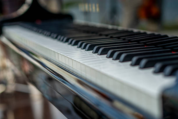 istock Closeup selective shot of piano tiles 1440968311