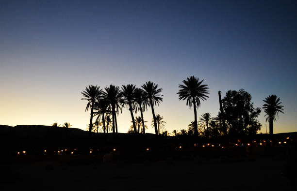 Late evening in the bedouin camp in the middle of the Negev desert