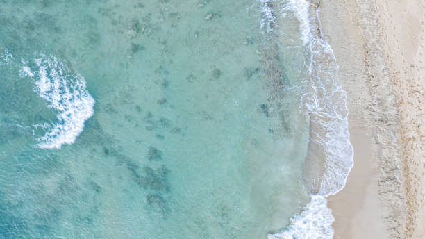 istock Sandy beach of an azure ocean viewed from above 1440968472
