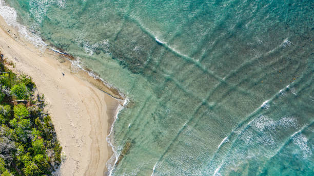 istock Sandy beach of an azure ocean viewed from above 1440968587