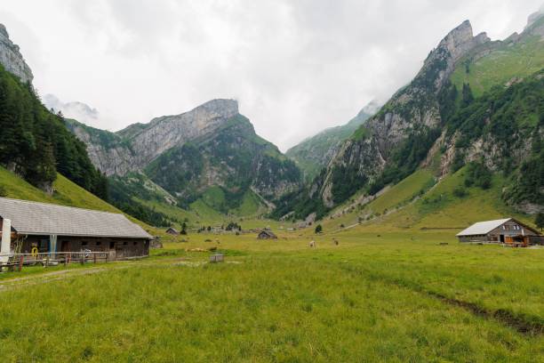 istock Beautiful mountainous landscape during the daytime 1440968895