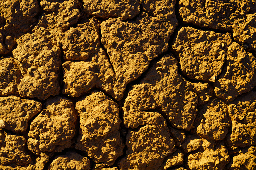 Textured Mud Dirt Crust Background - Crusty cracked dirt surface detail.