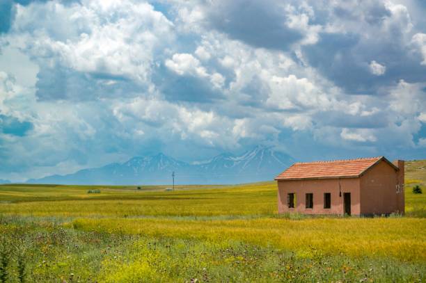 istock Small house in a yellow field under a cloudy sky 1440971869