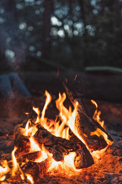 istock Vertical shot of a bonfire in nature 1440971874