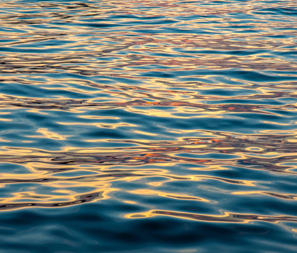 istock Sea water covered by the light of the setting sun 1440973709
