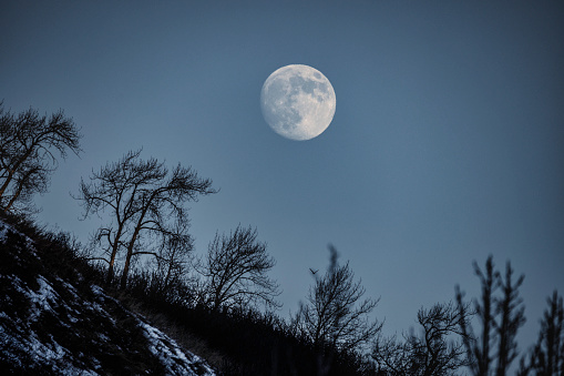 A beautiful view of the moon in the dark sky over the forest late at night