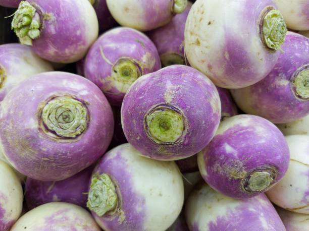 istock Closeup shot of purple turnips 1440974988