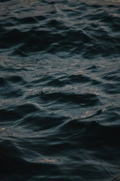 istock Vertical closeup shot of sea water surface in daylight 1440976468