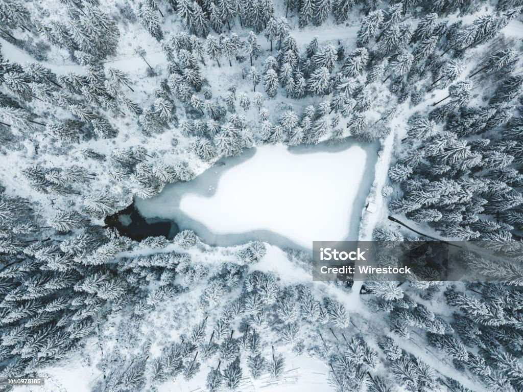 A lake in the middle of the snowy forest. A white lake in the middle of the forest. Above Stock Photo