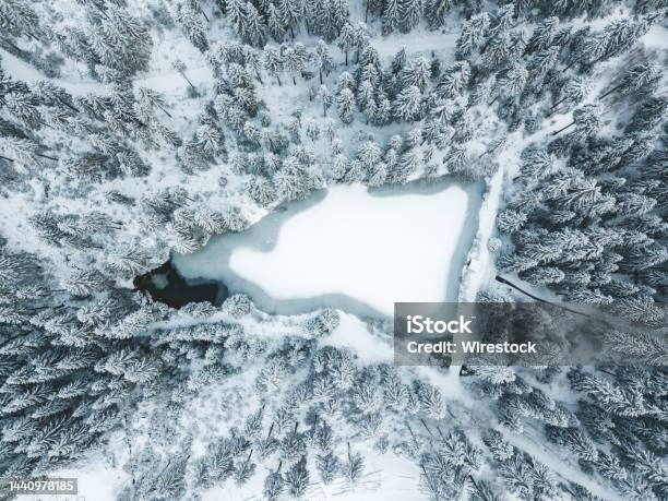 A Lake In The Middle Of The Snowy Forest Stock Photo - Download Image Now - Above, Aerial View, Backgrounds
