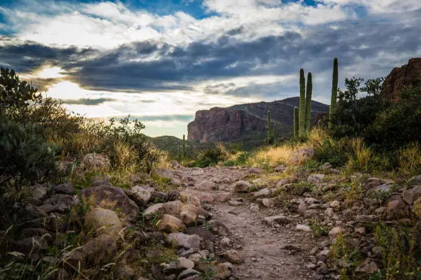 The Dutchman trail rolls over a small rise facing the towering rock face of Gold Canyon