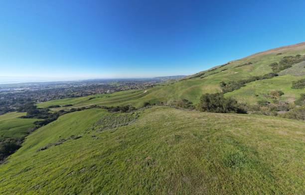 istock Mesmerizing landscape view with green hills and dense forest against a clear blue sky 1440979047