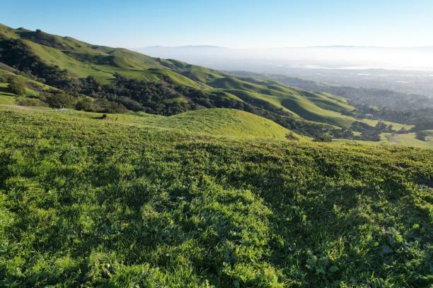 istock Mesmerizing landscape view with green hills and dense forest against a blue sky 1440979055