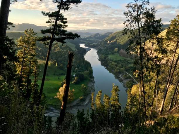 sacred whanganui river - new zealand forest landscape mountain imagens e fotografias de stock