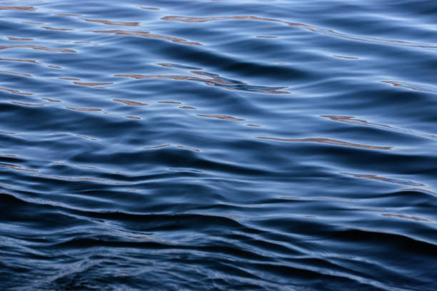 istock Aesthetic shot of waves 1440979812