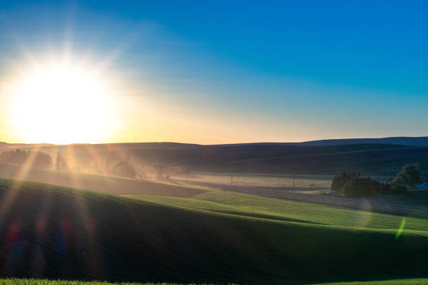 istock Green landscape at scenic sunset 1440979870