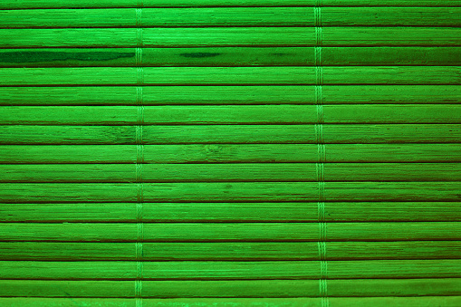 A closeup of a vibrant green wooden surface