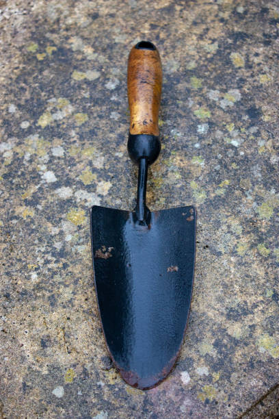 istock Vertical shot of a small shovel on a tile surface 1440980634