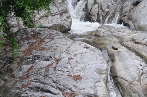 cachoeira, rocha e árvore na floresta ou fundo de cachoeira - bounce off - fotografias e filmes do acervo