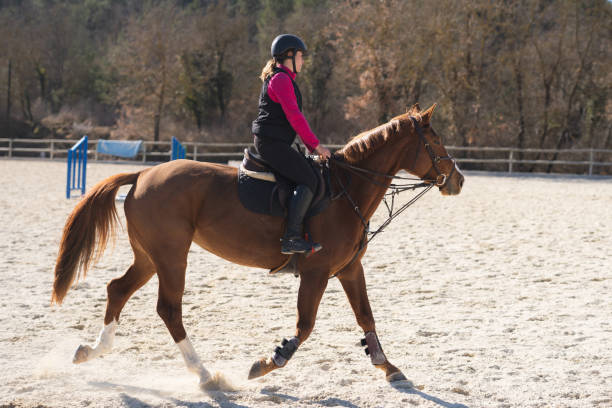 istock Girl during a horseback riding on a sunny day 1440982316