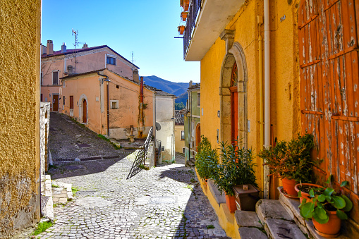 Pignola Pictures Download Free Images on Unsplash