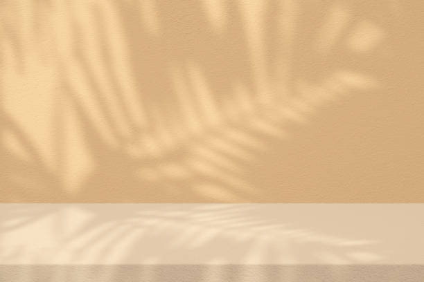 istock Stucco Table with Palm Leaf Shadow on Concrete Wall Texture Background, Suitable for Cosmetic Product Presentation Backdrop, Display, and Mock up. 1440982584