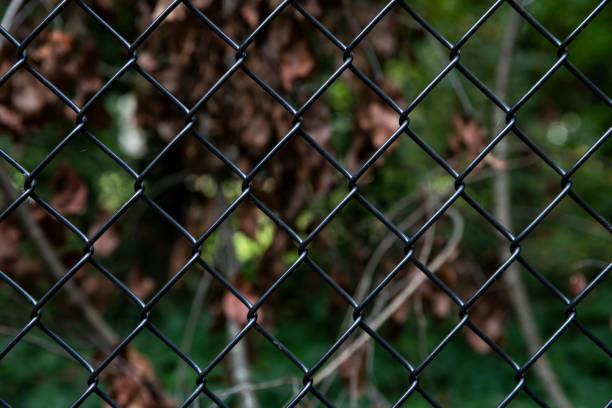 istock close up of a chain link fence 1440982631