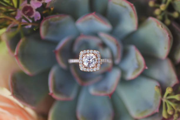 istock Top view of a diamond engagement ring on a green succulent 1440982635