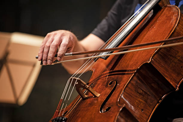 person playing chello at a concert - chello imagens e fotografias de stock