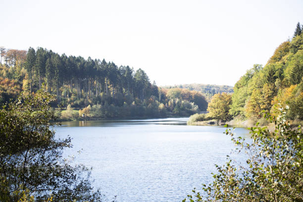 istock Mesmerizing view of a calm lake surrounded by high trees 1440985395
