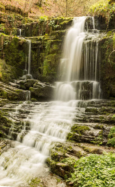 istock Vertical shot of a waterfall in a forest 1440985602