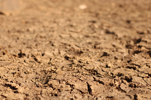A closeup of mudcracks under the sunlight with a blurred background