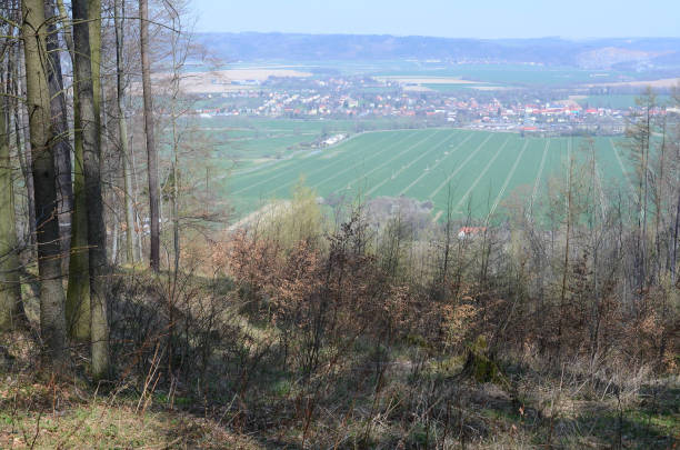 istock View of meadows near a town from a forest 1440987437