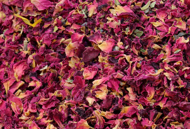 istock dried fragrant rose petals to create poutpurri 1440987457