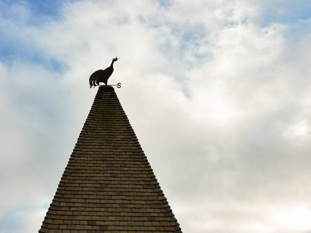 silhouette of a large metal weathercock seen on top of a church spire. - roof roof tile rooster weather vane imagens e fotografias de stock