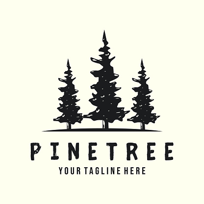 pine tree vintage style icon vector template illustration design